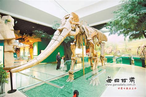 古代大象|黄河象：300万年前的“巨无霸”